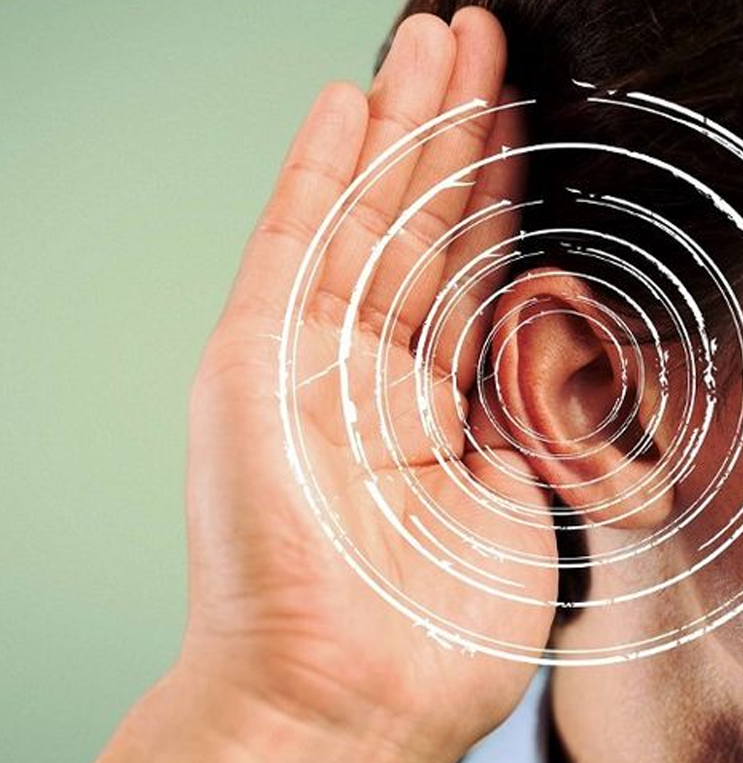 Hearing Aid Trial and Fitting