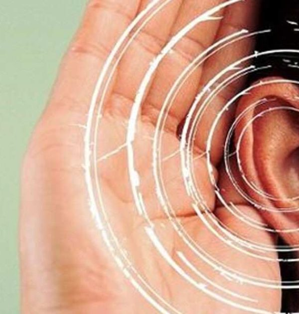 Reconnect with Your Favourite Sounds